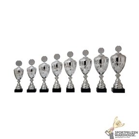 Zilveren bokaal met gravering - AK5160