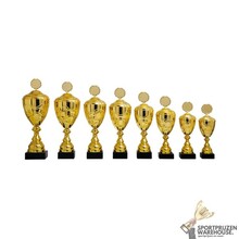 Gouden trofee met gravering - AK5170