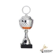 Zilveren trofee met oranje accent