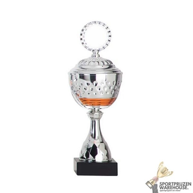 Zilveren trofee met oranje accent