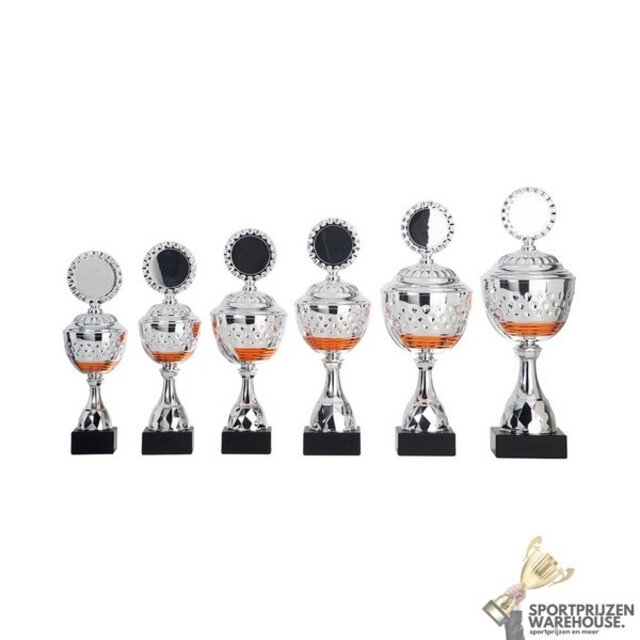 Zilveren trofee met oranje accent