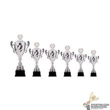 Voordelige wisseltrofee"en - AK5240