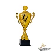 Gouden wisselbeker Gouden wisselbeker