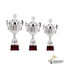 Voordelige wisselbokaal - AK5300