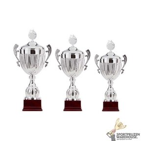 Voordelige wisselbokaal - AK5300