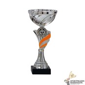 Zilveren trofee met oranje accent
