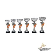 Zilveren trofee met oranje accent