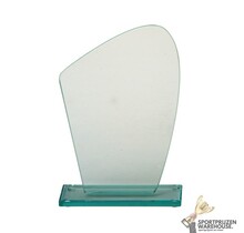 Mooie trofee met gravering