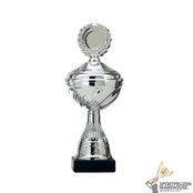 Budget bekertje van zilver