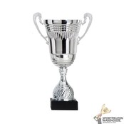 Zilveren trofee met gratis gravering
