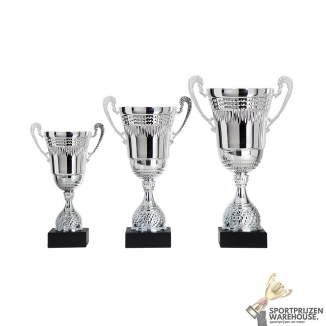 Zilveren trofee met gratis gravering