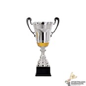 Zilveren trofee met goud accent