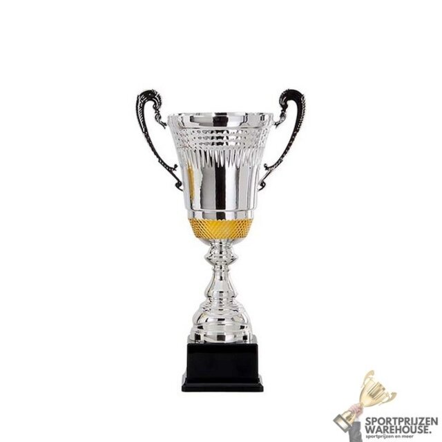 Zilveren trofee met goud accent