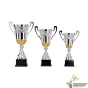 Zilveren trofee met goud accent