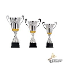Zilveren trofee met goud accent - AK5420