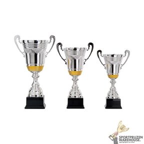 Zilveren trofee met goud accent - AK5420