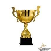 Budget wisselbokaal goud