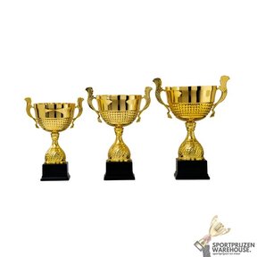 Budget wisselbokaal goud - AK5470