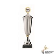 Klassieke trofee met gouden topstuk