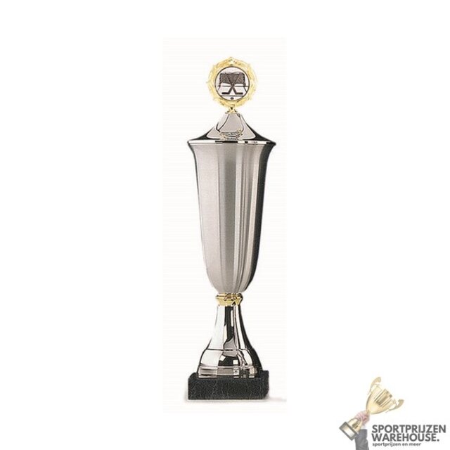 Klassieke trofee met gouden topstuk