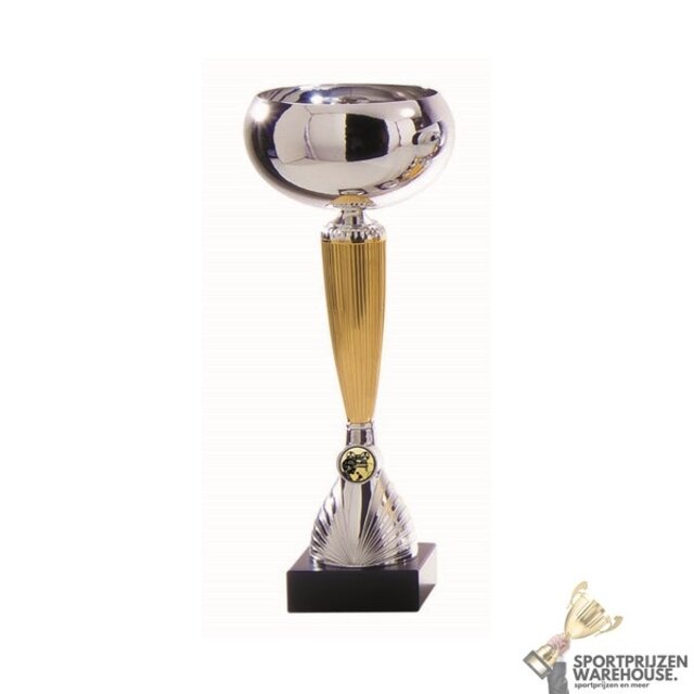 Mooie trofee met goud accent