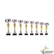 Mooie trofee met goud accent