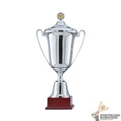 Jumbo Trofee - Wisselbokaal Jumbo Trofee - Wisselbokaal