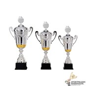 Leuke trofee, lekker geprijsd