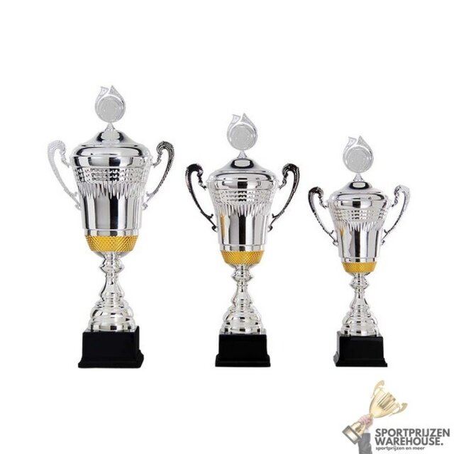 Leuke trofee, lekker geprijsd