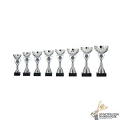 Heart trofee met blauw accentje