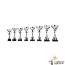 Heart trofee met blauw accentje