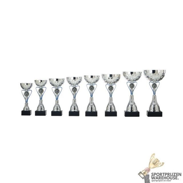 Heart trofee met blauw accentje