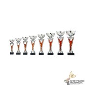 Zilveren beker met rood accent Zilveren beker met rood accent