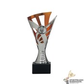 Trofee met goud, zilver of bronzen accent