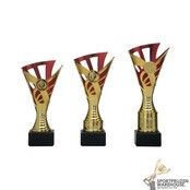 Sportprijs met rood accent