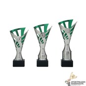 Sportprijs met groen accent