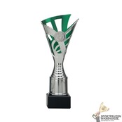 Sportprijs met groen accent