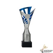 Sportprijs met blauw accent