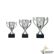 Leuke zilveren bokaal Leuke zilveren bokaal