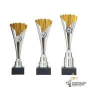 Budget trofee met gratis gravering