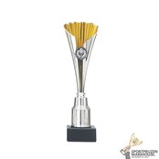 Budget trofee met gratis gravering