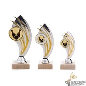 Goedkope sportprijs met gravering Goedkope sportprijs met gravering