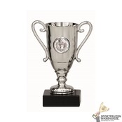 Goedkope sportprijs met gravering