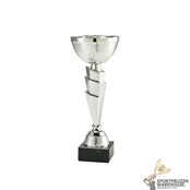 Leuke sportprijs met een Zilveren kleur in verschillende hoogtes