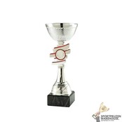 Leuke sportprijs met een Zilveren kleur in verschillende hoogtes