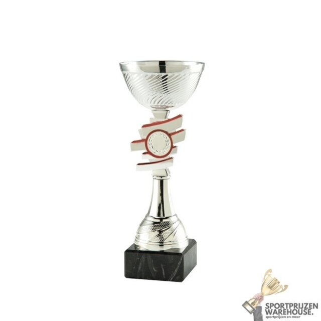 Leuke sportprijs met een Zilveren kleur in verschillende hoogtes