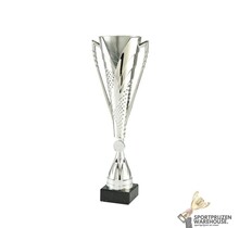 Leuke award