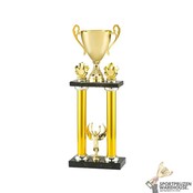 Luxe gouden wisselbokaal