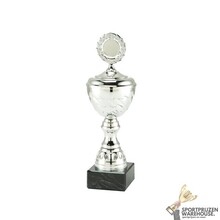 Award met een Zilveren accent kleur - MT.137-Zilver