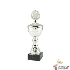 Award met een Zilveren accent kleur - MT.137-Zilver